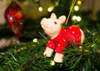 С наступающим новым годом!