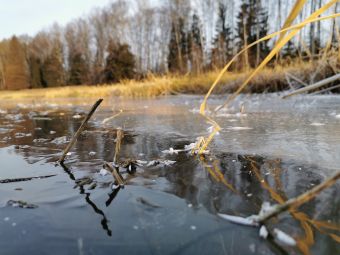Первый лед 24 ноября 2019