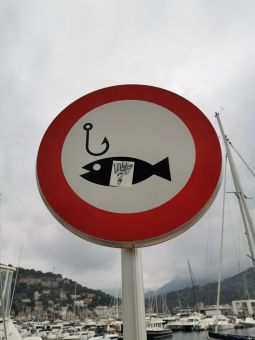 Ловить льзя?