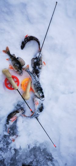 Рыбалка 26.12.2020