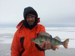 Master Yoda с окунечком