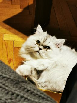 6 месяцев мелкому