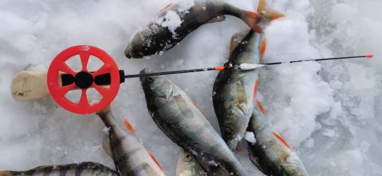 Первая рыбалка 2021