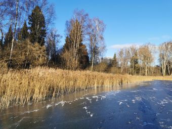 Рыбалка 01-12-2019