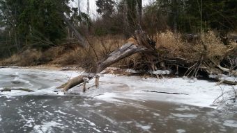 Первый лед 2018-11-24