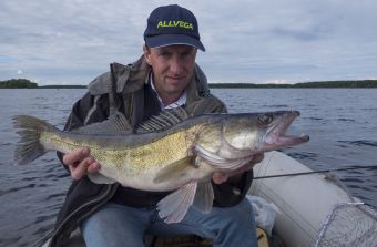 Рыбалка Иваньковское водохранилище 2017 судак 300 грамм