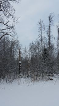 Зимняя туса 2018