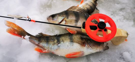 Первая рыбалка 2021