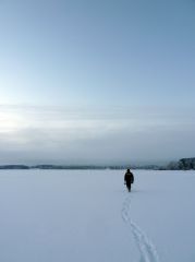 Морозный рассвет