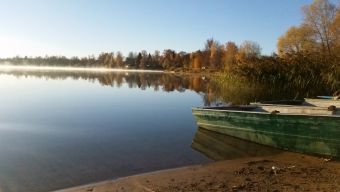 Рыбалка 2018-10-20