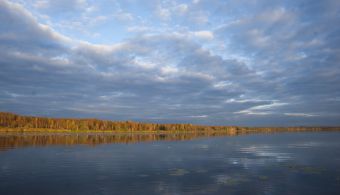 Яркий осенний лес в закатном солнце версия полная