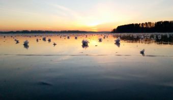 Рыбалка 2018-12-01