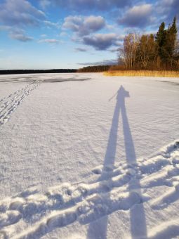 Рыбалка 2020-02-16