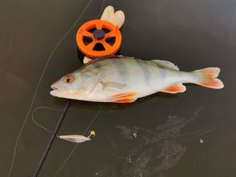 Первый лед 24 ноября 2019