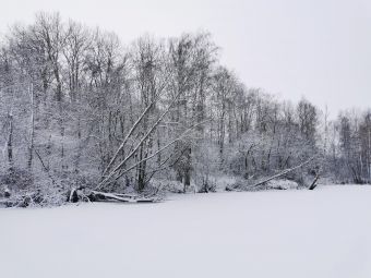 Рыбалка 2020, 11 января