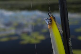 Рыбалка 11-06-2107