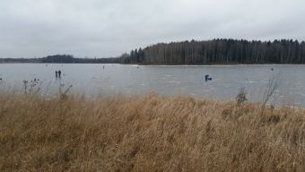 Первый лед 2018-11-24