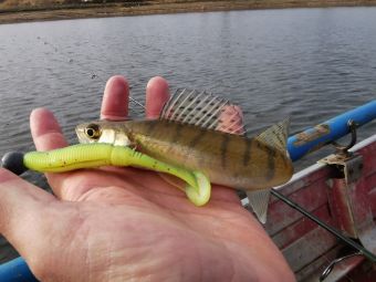 Рыбалка 02.11.2019