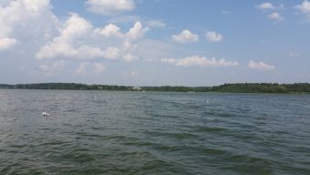 Рыбалка 28.07.2018 забавные жерлицы