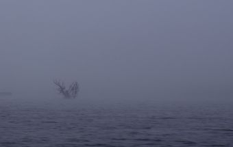 Туманное остров в море