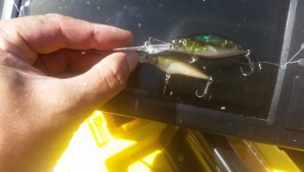 Рыбалка 11-08-2108 воблеры