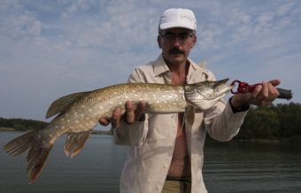 Рыбалка 1-2 сентября 2018 щучка 180 грамм