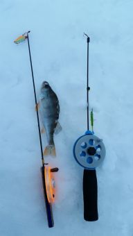 Первый окунек рыбалки 27.11.2016