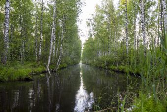 Рыбалка 11-06-2107