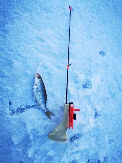 Открытие сезона 05.12.2020. Плотва в прилове