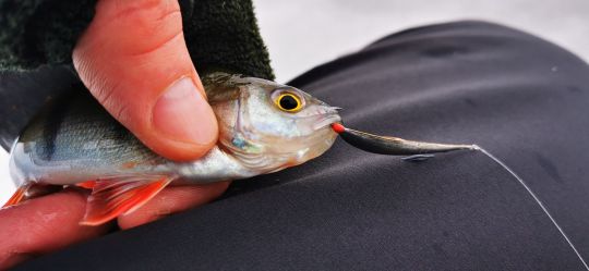 Первая рыбалка 2021