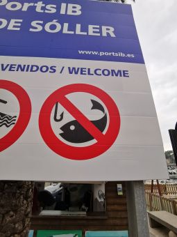 Ловить нельзя