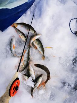 Рыбалка 2020, 11 января