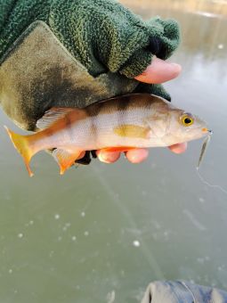 Первый лед 24 ноября 2019