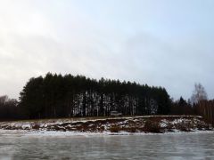 Все как весной, трава того и гляди станет зеленой