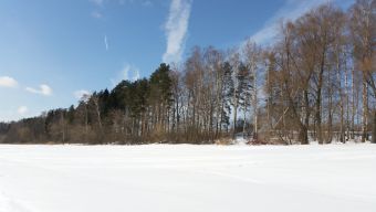 Рыбалка 17 марта 2018 - дубак