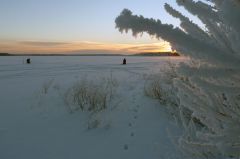 Холодный рассвет