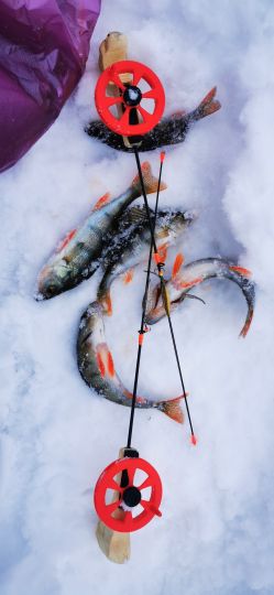 Рыбалка 26.12.2020