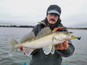 Рыбалка 02.11.2019