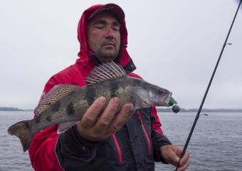 Миха и чудо-берш