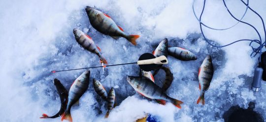 Первая рыбалка 2021