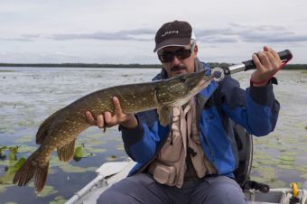 Щучка затрешка