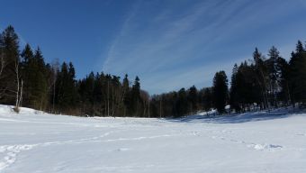 Рыбалка 17 марта 2018 - дубак