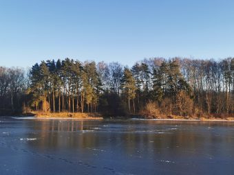 Рыбалка 01-12-2019