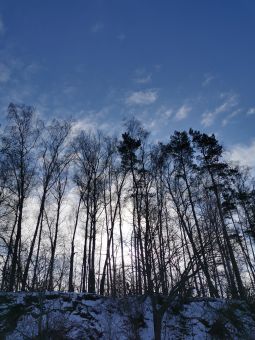 Рыбалка 2020-02-16