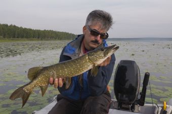 Щучка на полторащечку