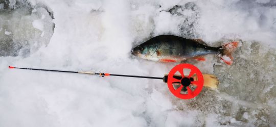 Первая рыбалка 2021