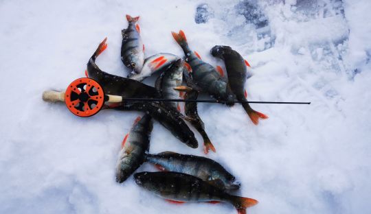 Первая рыбалка 2021