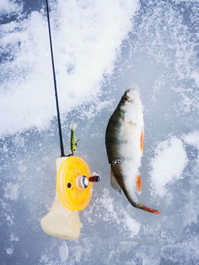 Открытие сезона 05.12.2020 Кроха