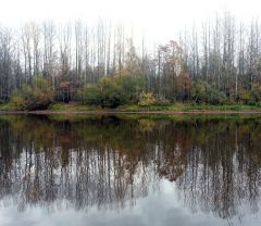 Берега, берега