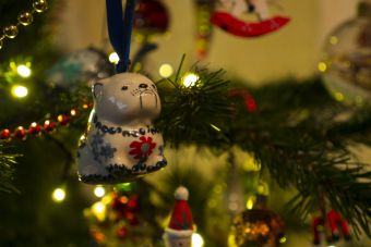 С наступающим 2018